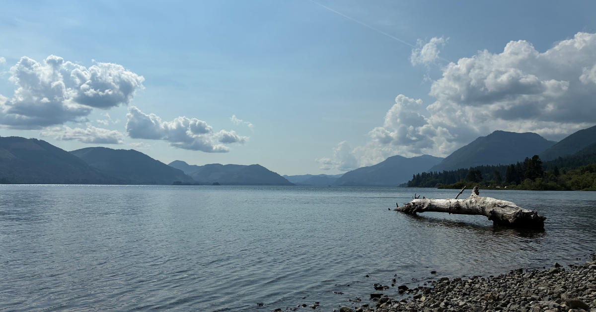 Lake Cowichan Banner